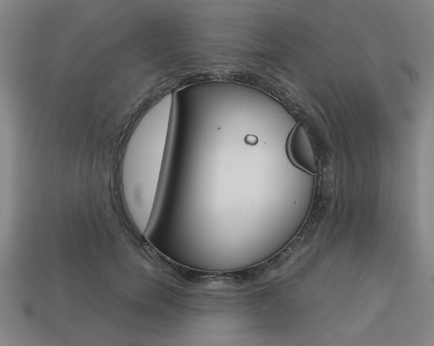 X0000113780750200909231040