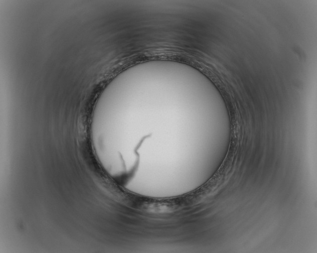 X0000113780751200909231040