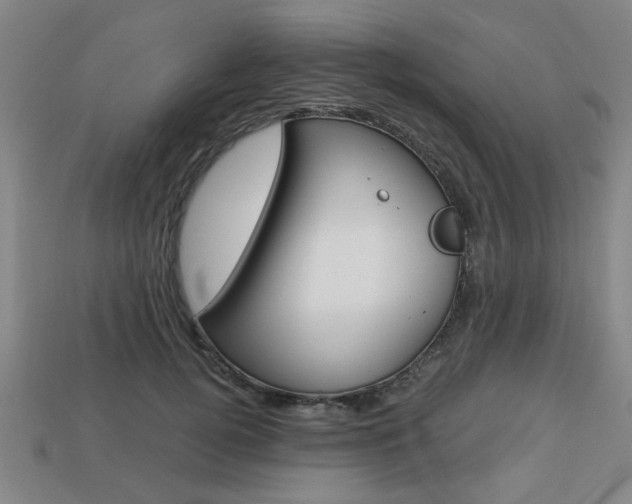 X0000113780752200909231041