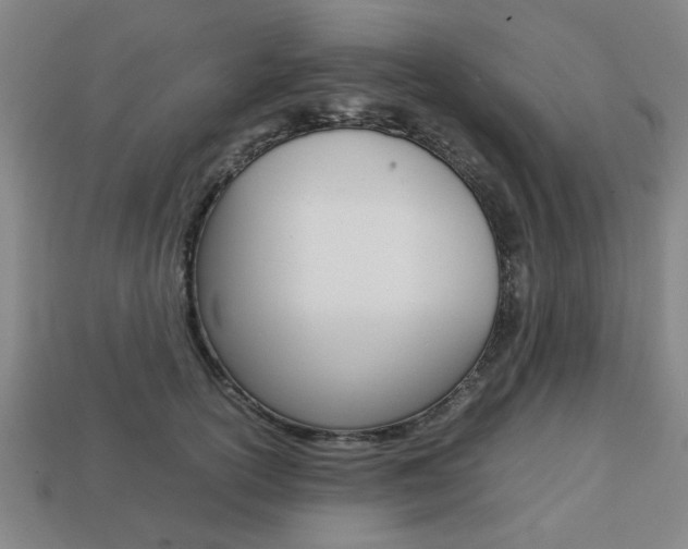 X0000113780754200909231041
