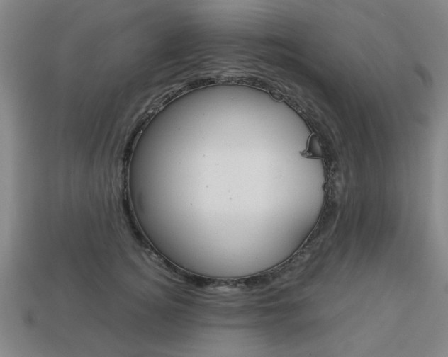 X0000113780756200909231041