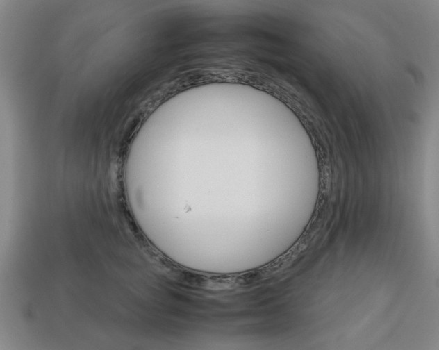X0000113780757200909231041
