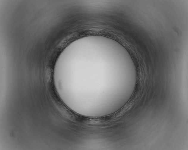 X0000113780758200909231041