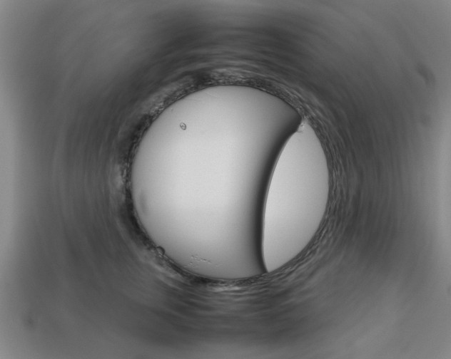 X0000113780759200909231041