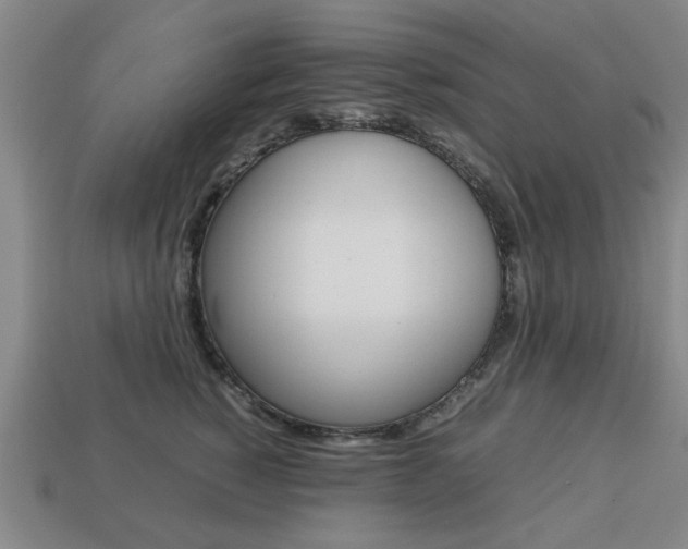 X0000113780760200909231041