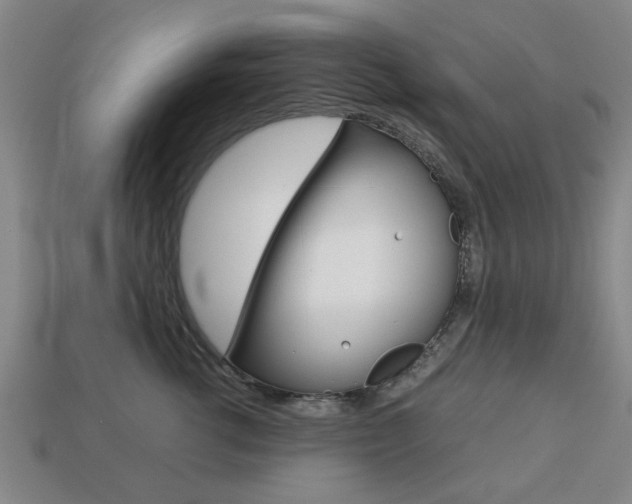 X0000113780762200909231041