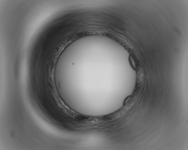 X0000113780764200909231041