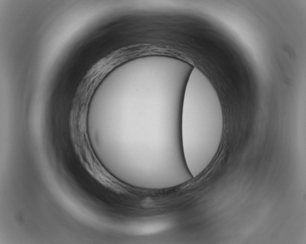 X0000113780765200909231041