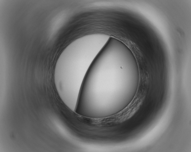 X0000113780766200909231041