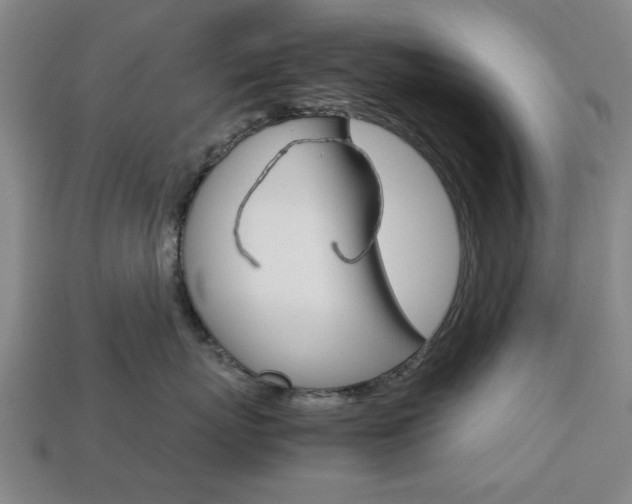 X0000113780767200909231041