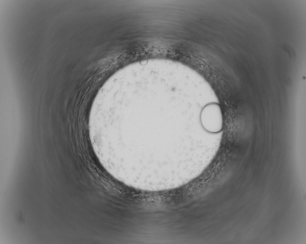 X0000113780769200909231040