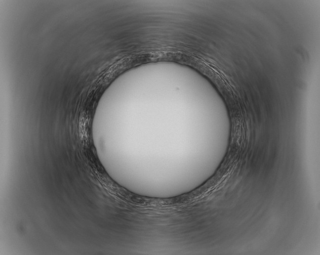 X0000113780770200909231040