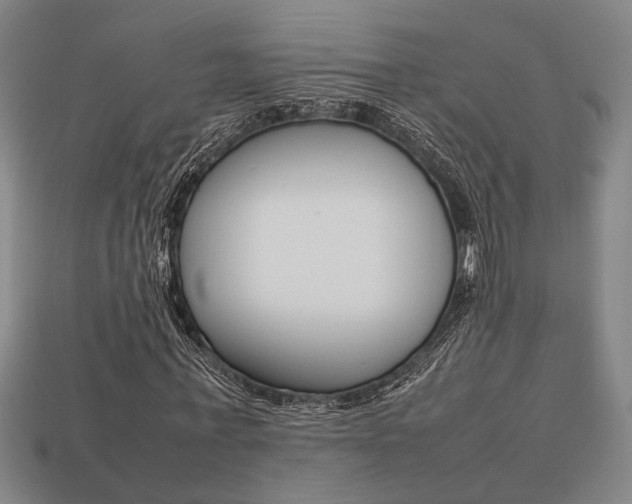 X0000113780771200909231040