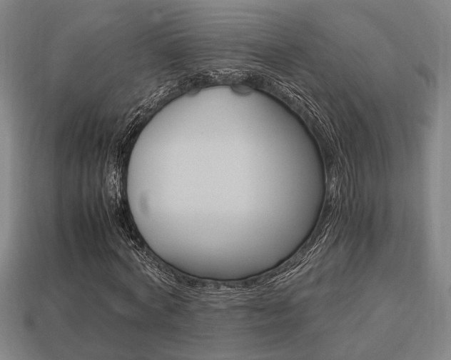 X0000113780772200909231040
