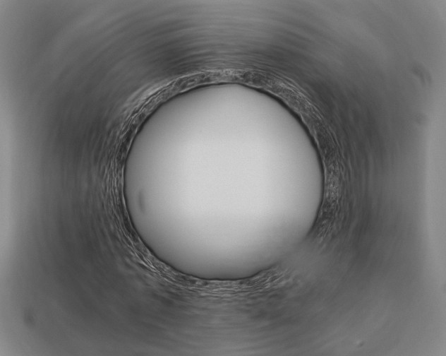 X0000113780773200909231040