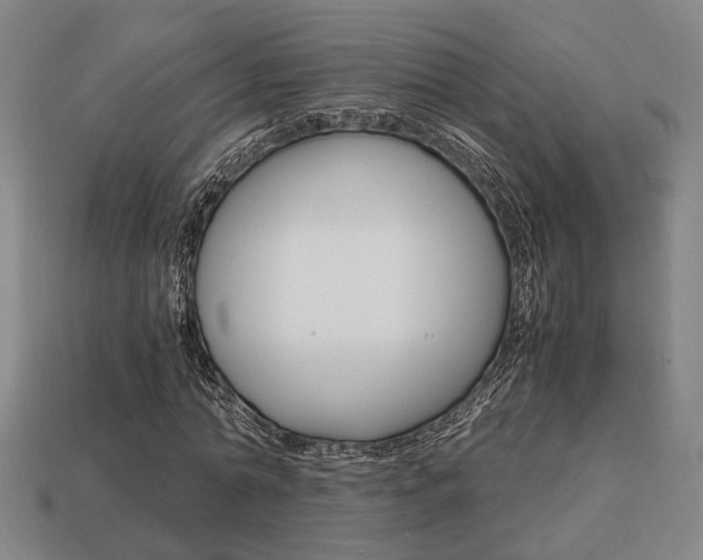 X0000113780774200909231040