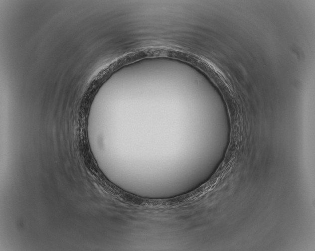 X0000113780775200909231040