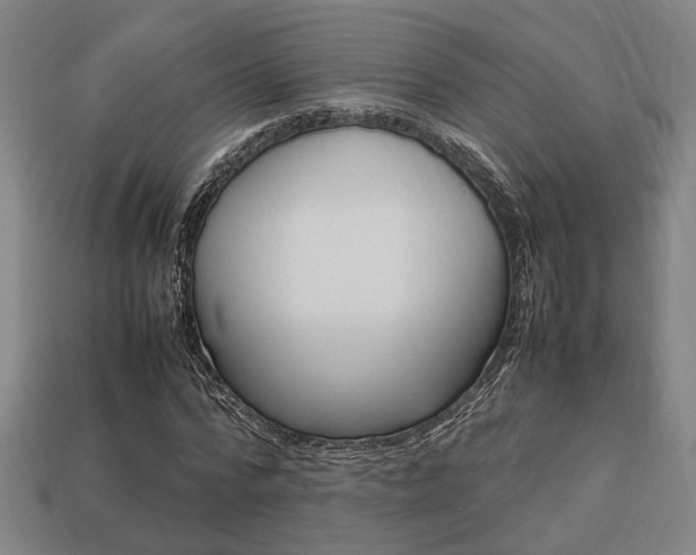 X0000113780776200909231040
