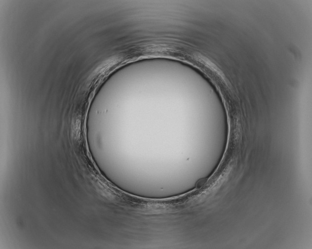 X0000113780777200909231040