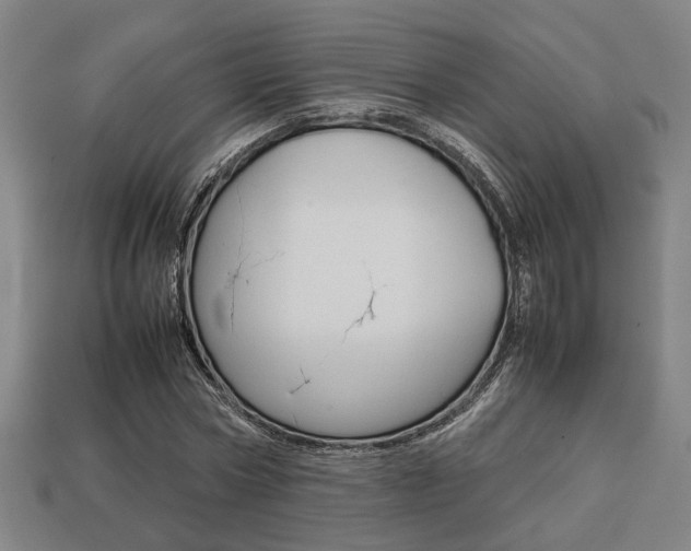 X0000113780778200909231040