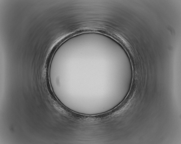 X0000113780779200909231040