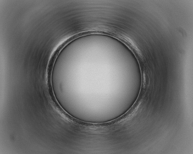 X0000113780780200909231040