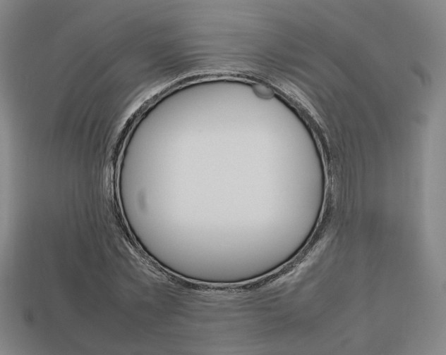 X0000113780781200909231040