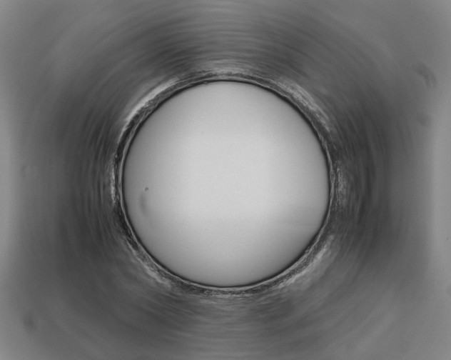 X0000113780782200909231040