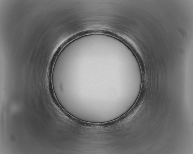 X0000113780783200909231040