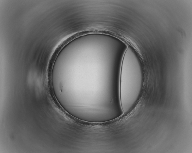 X0000113780784200909231040