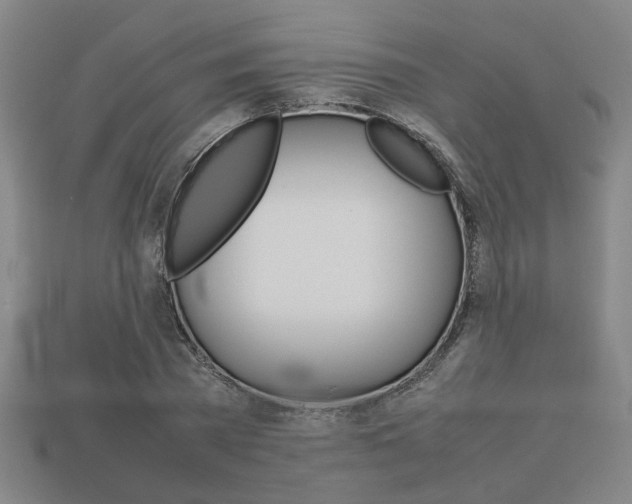 X0000113780785200909231040