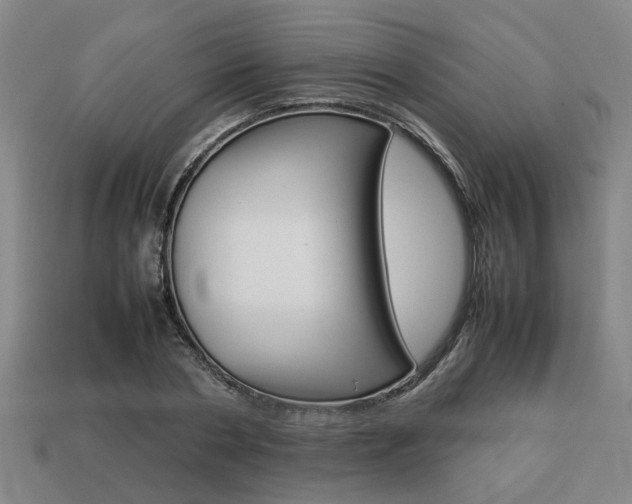 X0000113780786200909231040