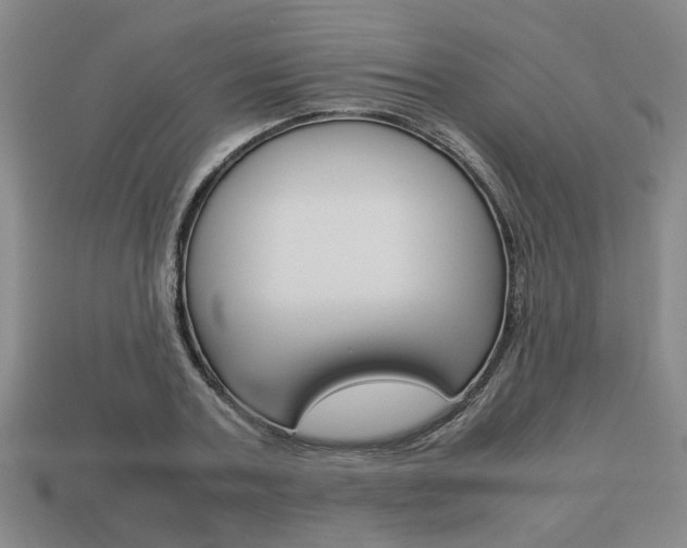 X0000113780787200909231040