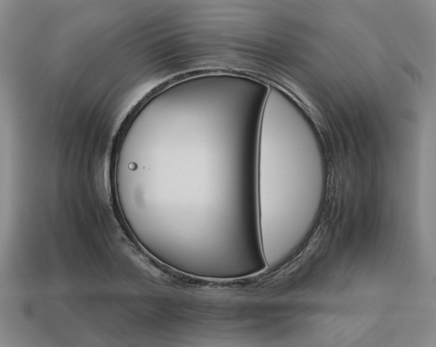 X0000113780788200909231040
