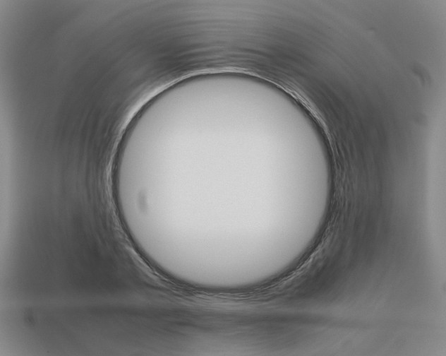 X0000113780789200909231040