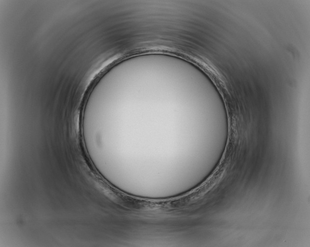 X0000113780790200909231040