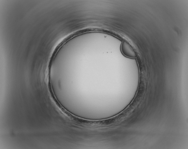 X0000113780791200909231040