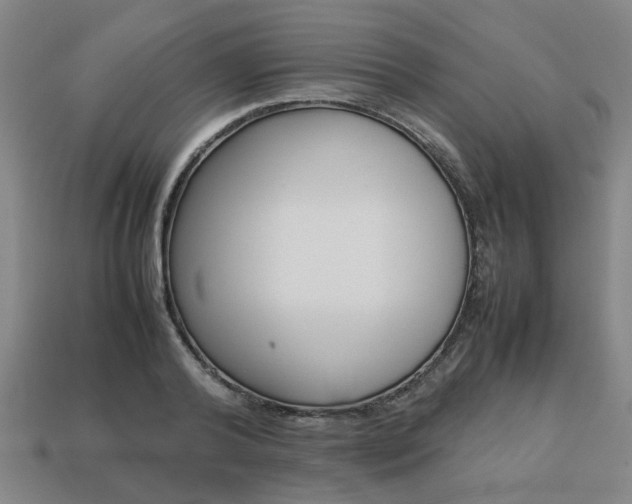 X0000113780792200909231040