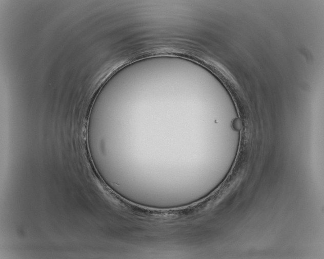 X0000113780793200909231040