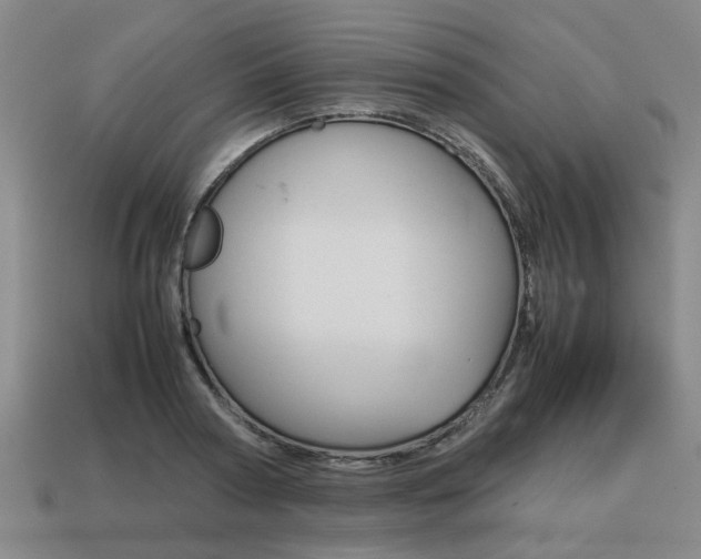 X0000113780794200909231040