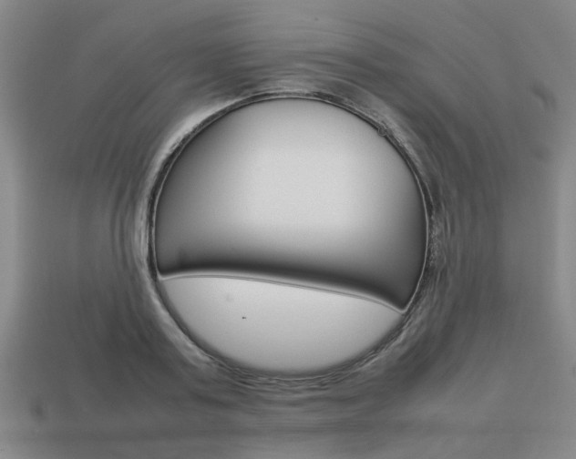 X0000113780795200909231040