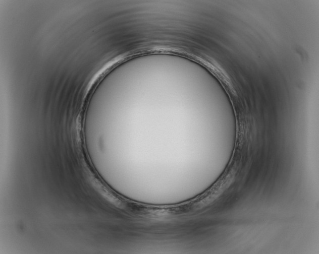 X0000113780798200909231040