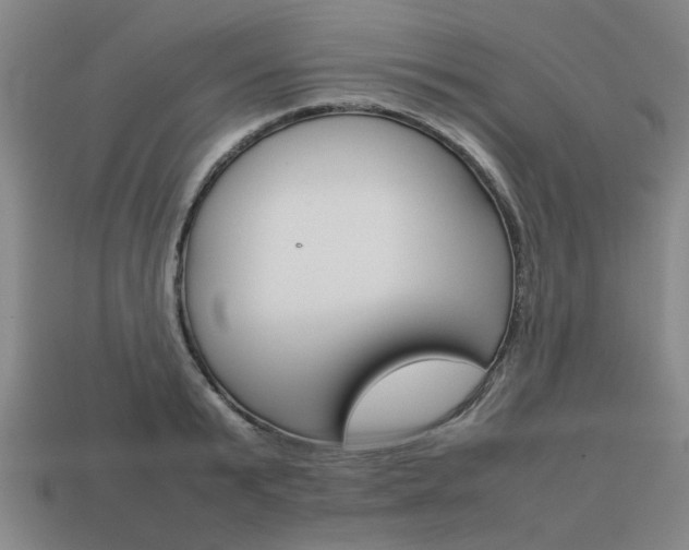 X0000113780799200909231040