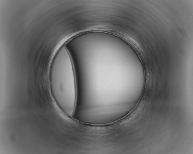 X0000113780800200909231040