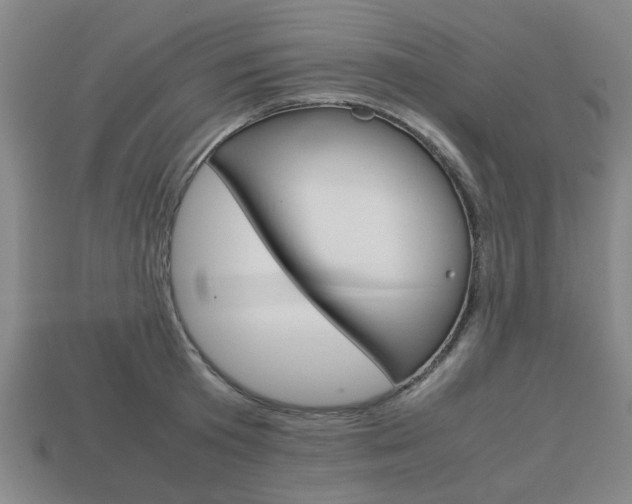 X0000113780801200909231040