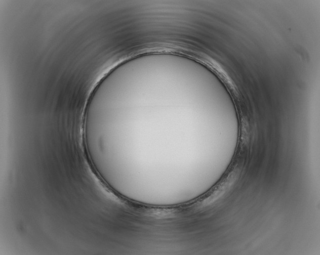 X0000113780802200909231040