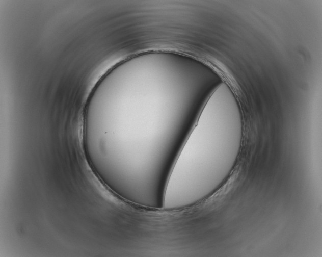 X0000113780804200909231040