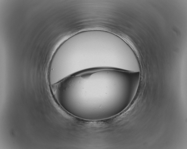 X0000113780805200909231040