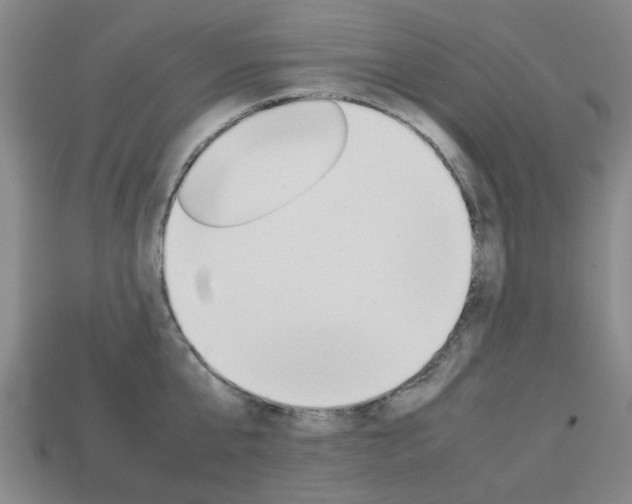 X0000113780807200909231040