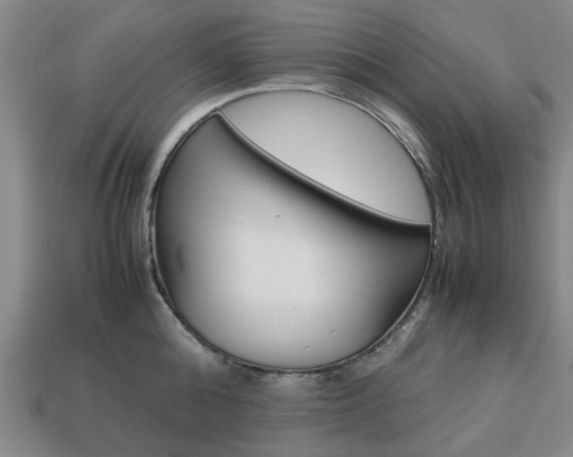 X0000113780808200909231040